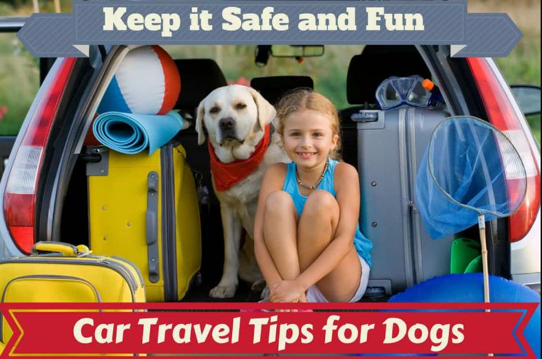 Car Travel Tips for Dogs